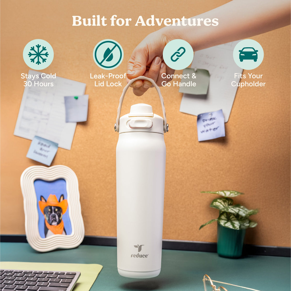 aura-26-oz-t6 Aura_26oz_Unbleached_PDP_Infographic_1.jpg