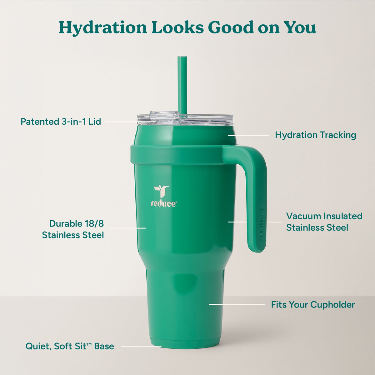 cold1-40-oz-b0 Cold1_40oz_PalmLeaf_Infographic_2.jpg