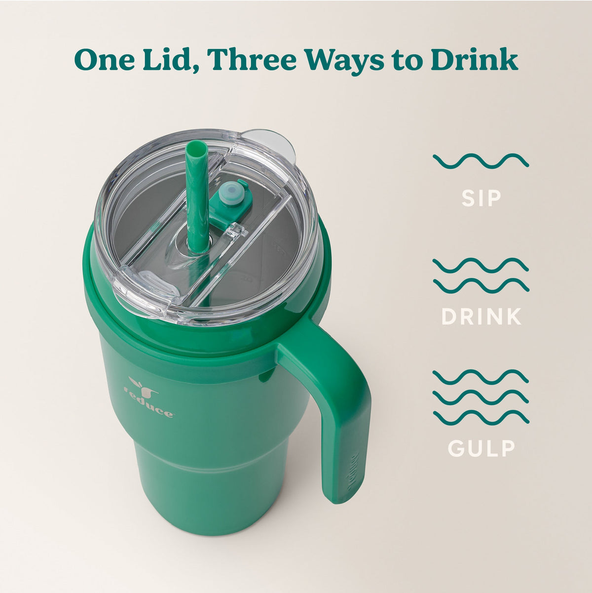 cold1-40-oz-b0 Cold1_40oz_PalmLeaf_Infographic_3.jpg