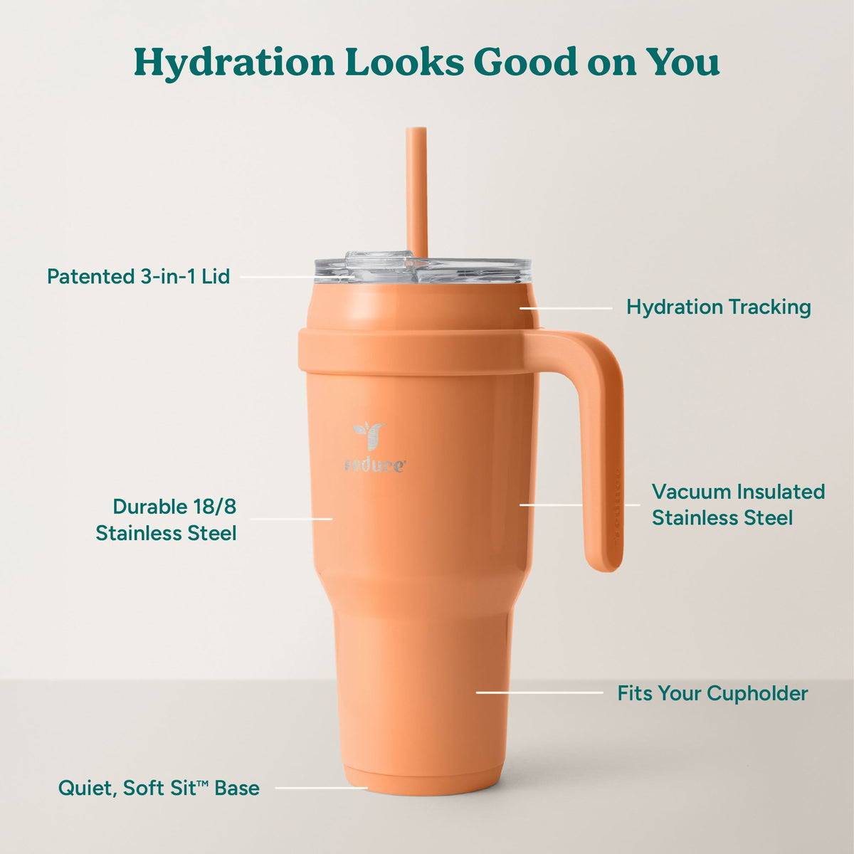 cold1-40-oz-b0 Cold1_40oz_Papaya_Infographic_2.jpg