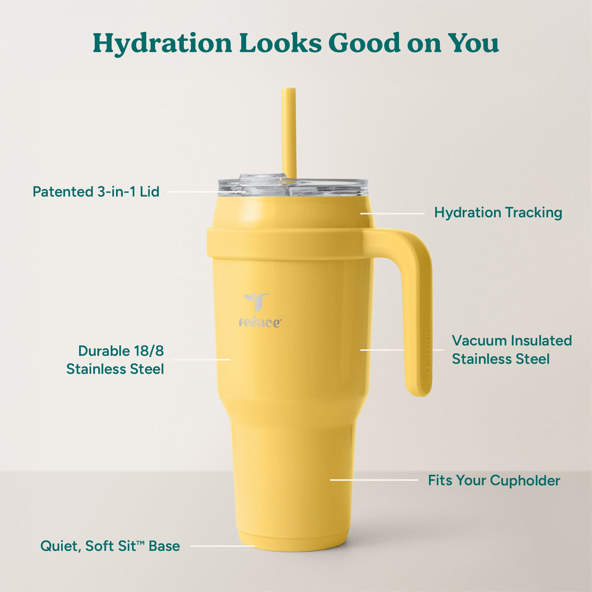 cold1-40-oz-b0 Cold1_40oz_Pineapple_Infographic_2.jpg